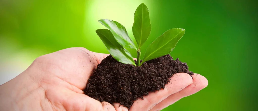 ¿Qué carreras estudiar para trabajar en el cuidado del medio ambiente en Chile? 7 opciones clave