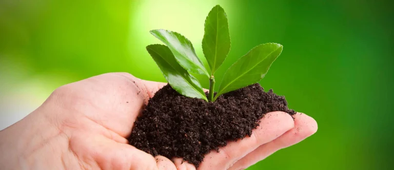 carreras relacionadas con el medio ambiente, unab, vocacion